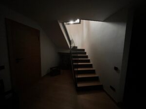 IMG 8767